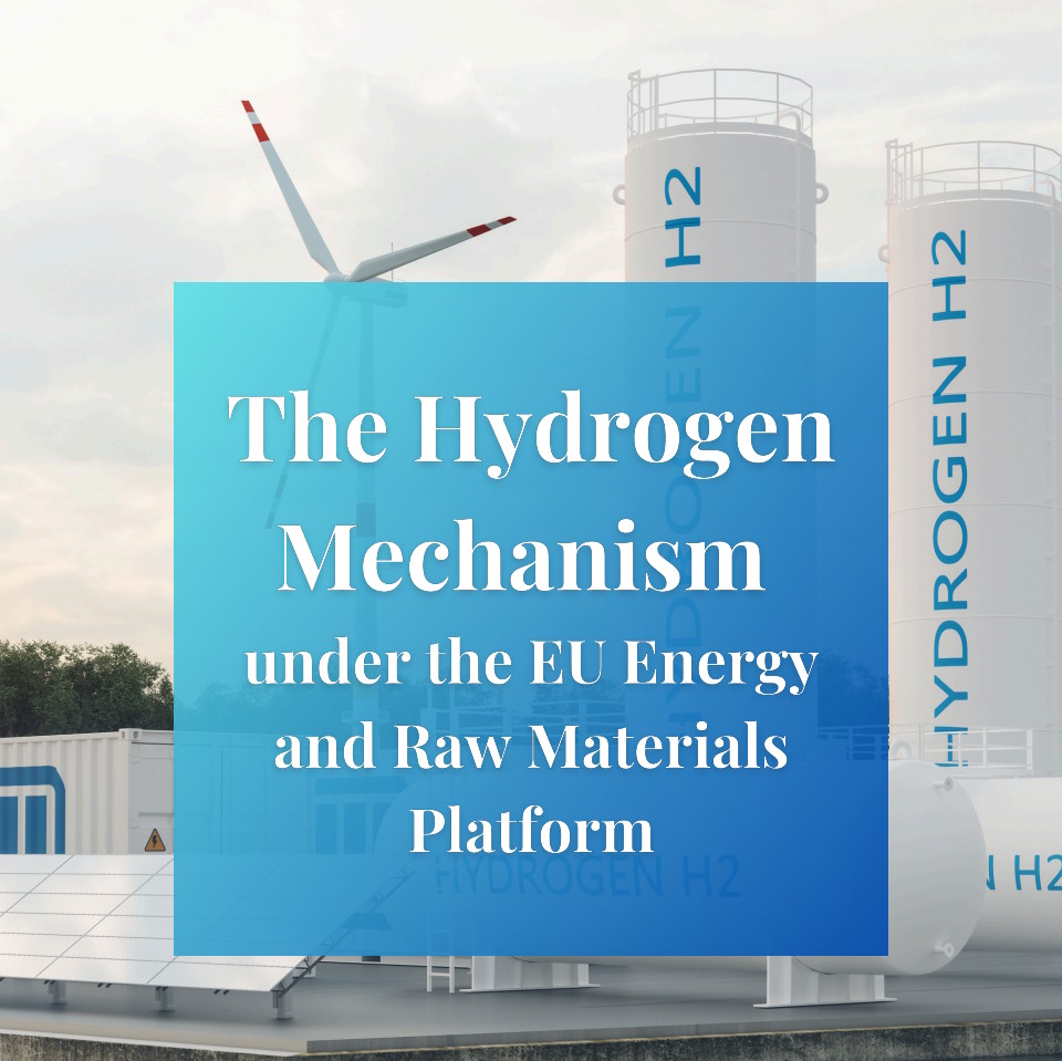 The Hydrogen Mechanism under the EU Energy and Raw Materials Platform