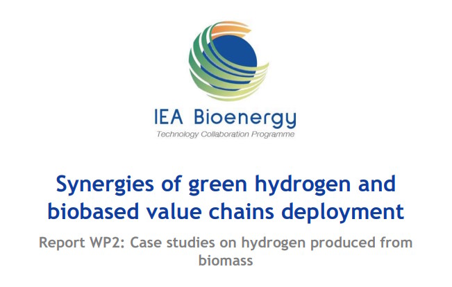 Synergies of green hydrogen and biobased value chains deployment. Report WP2: Case studies on hydrogen produced from biomass