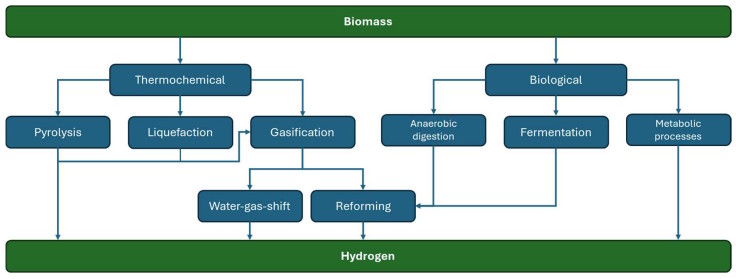 Main conversion processes to produce hydrogen from biomass sources