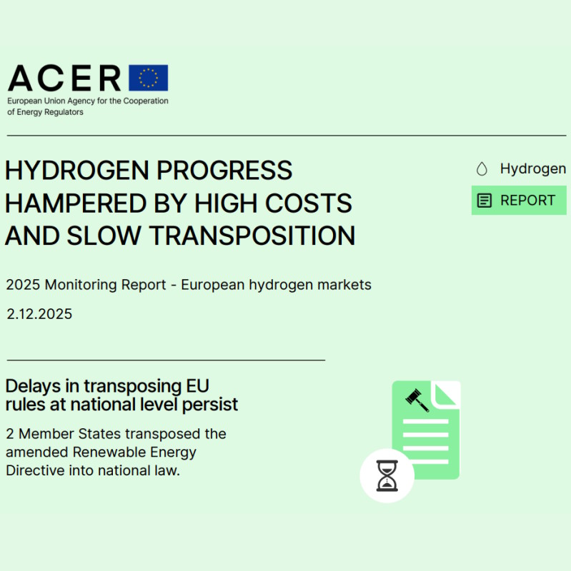 Hydrogen progress hampered by high costs and slow transposition. Delays in transposing EU rules at national level persist. 2 Member States transposed the amended Renewable Energy Directive into national law.