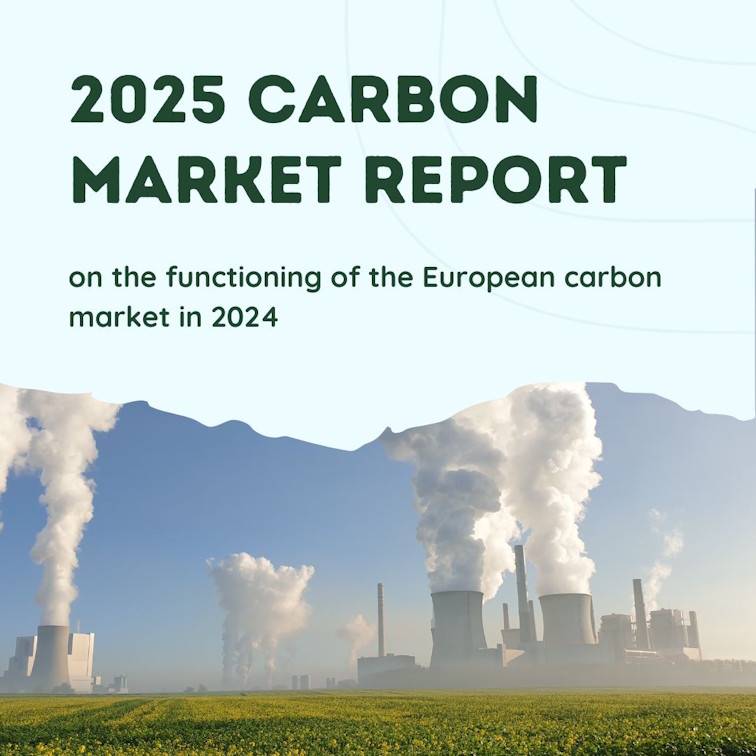 2025 Carbon Market Report on the functioning of the European carbon market in 2024