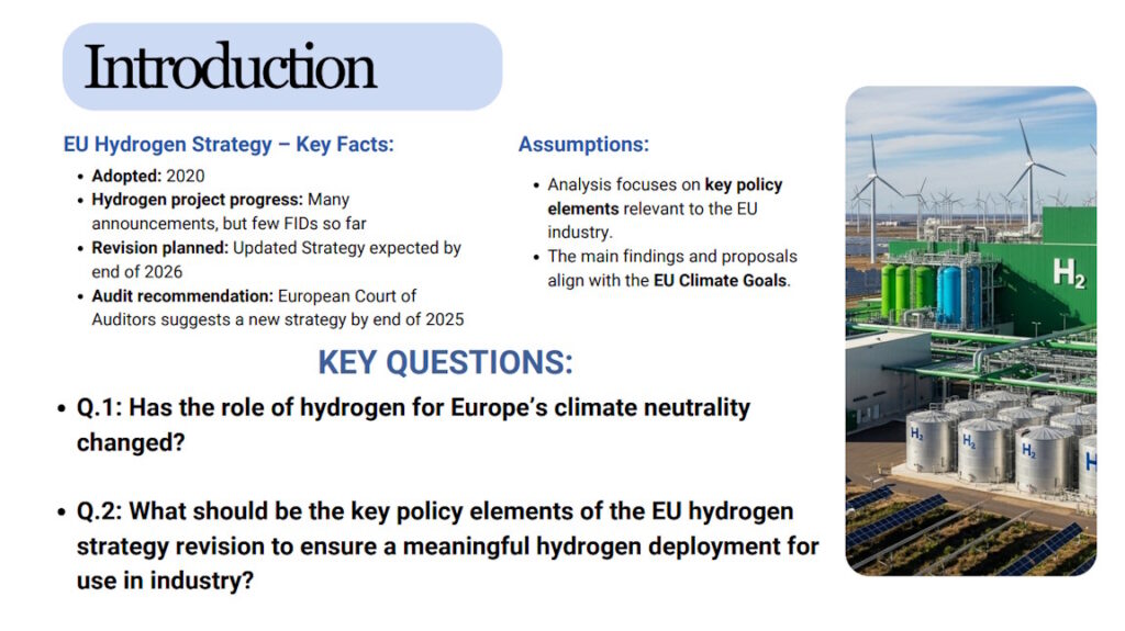 Maryna Hritsyshyna. Revision of EU Hydrogen Strategy for Industry. Key Facts and Questions