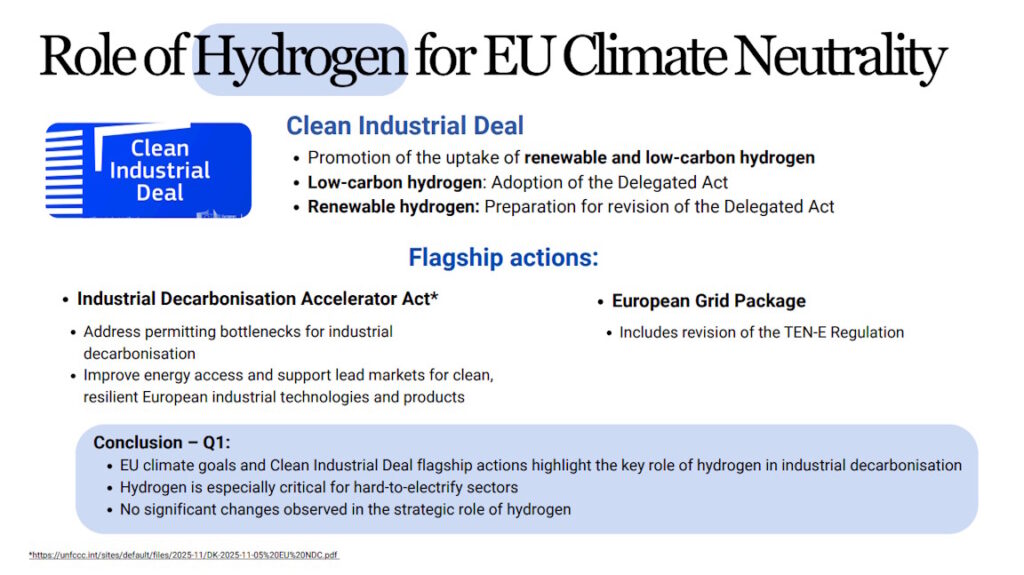 Maryna Hritsyshyna. Revision of EU Hydrogen Strategy for Industry. Role of Hydrogen for EU Climate Neutrality